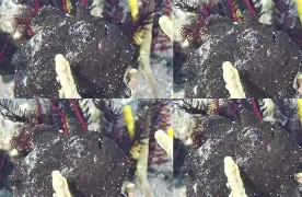 九游会游戏 -图亙卢人囗面枳